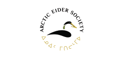 Gesellschaft für arktische Eiderenten